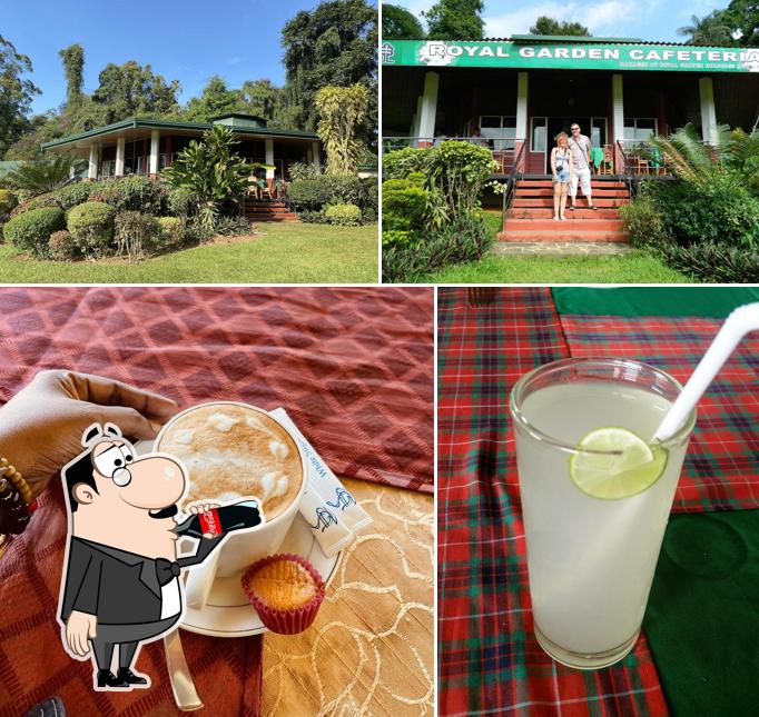 Royal Garden Cafeteria By The Kandyan Restaurant