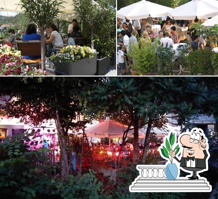 Schicker Restaurant - Catering - Vinothek - Café - Rösterei