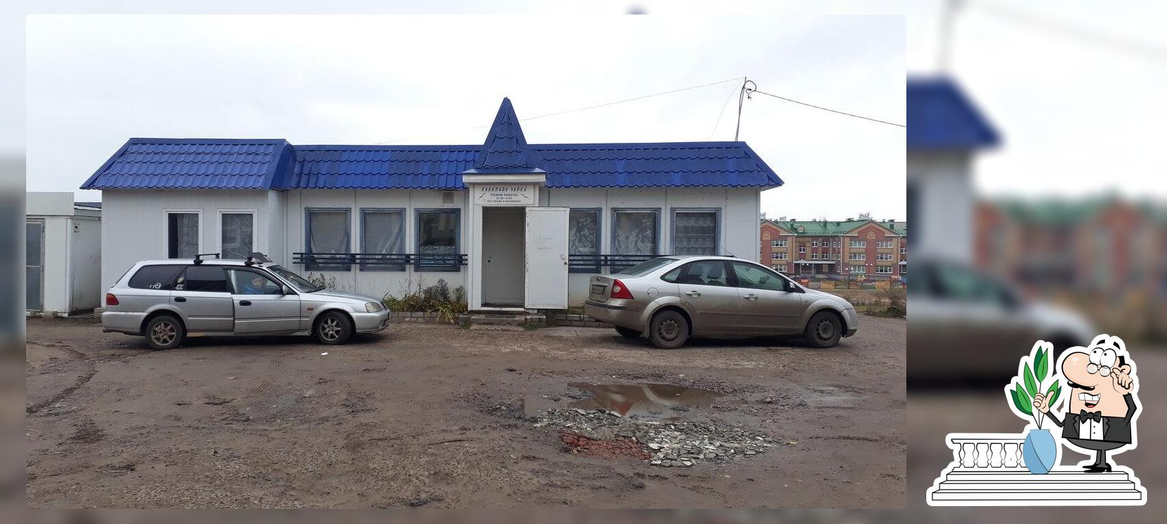 Чайка
