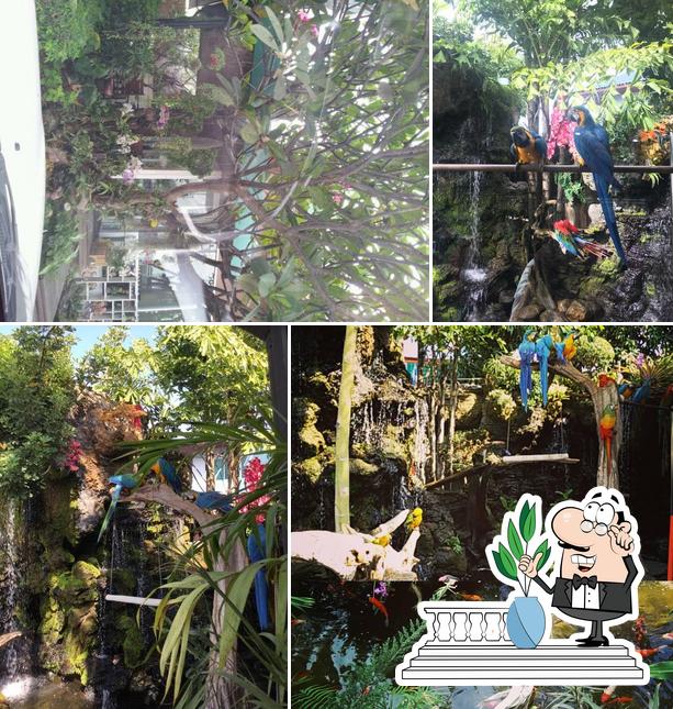 Cafe Amazon สาขา หจก.ภูวิดลเครื่องมือกล