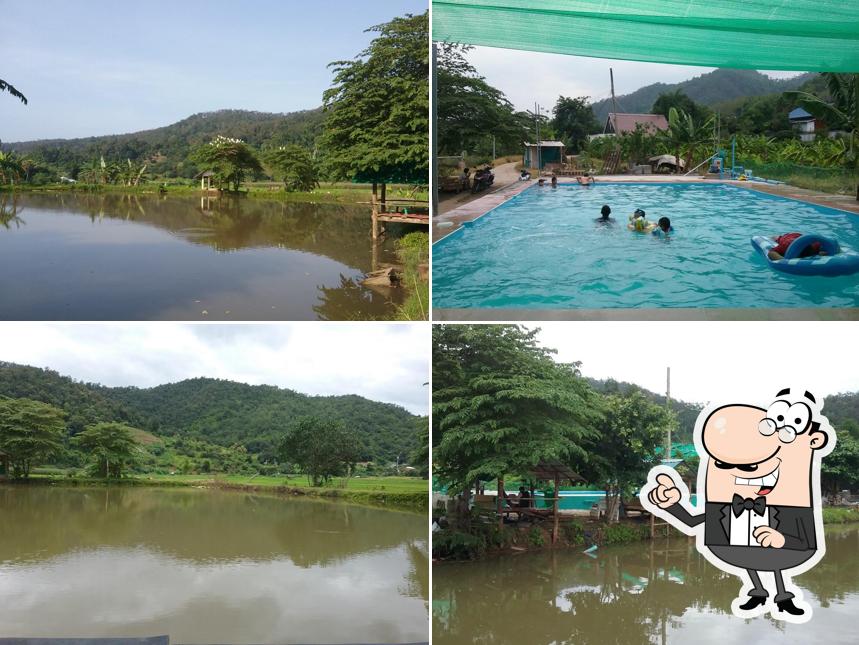 Pd Pool