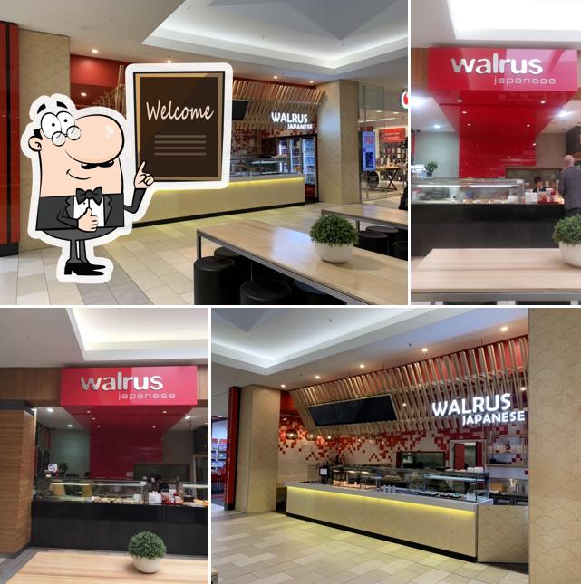 Walrus Japanese