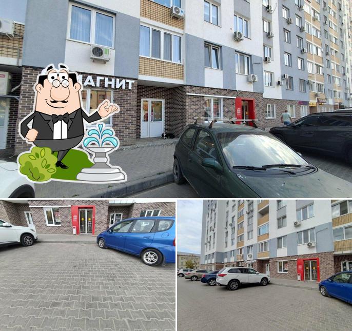 Магнит