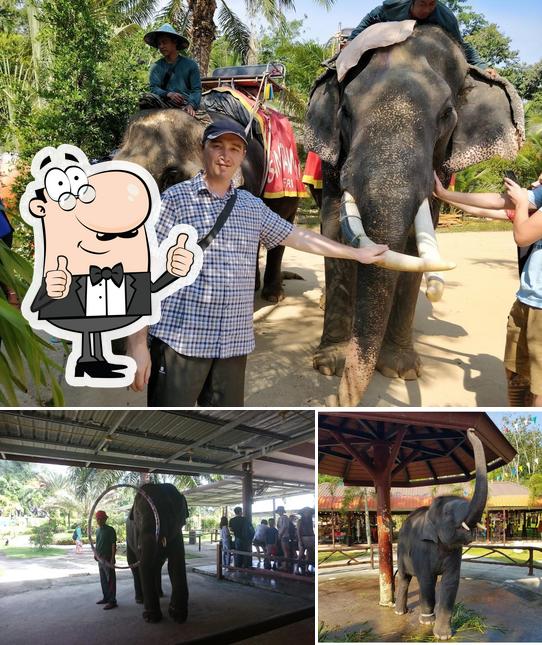 Sangtawan Safari