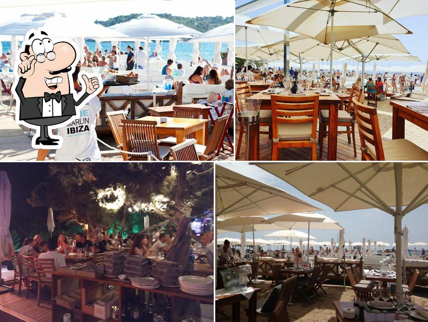 Blue Marlin Eivissa