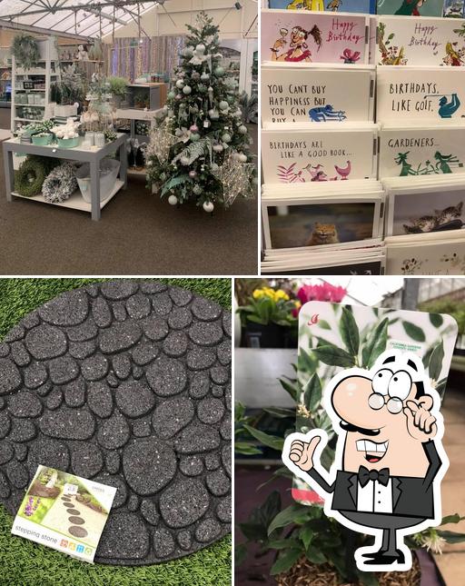 California Lodge Garden Centre