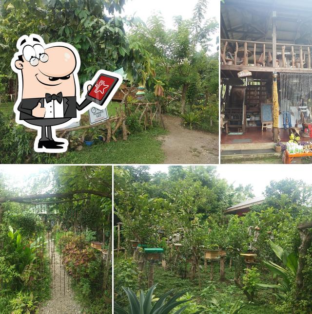 Pia’s Bee Farm