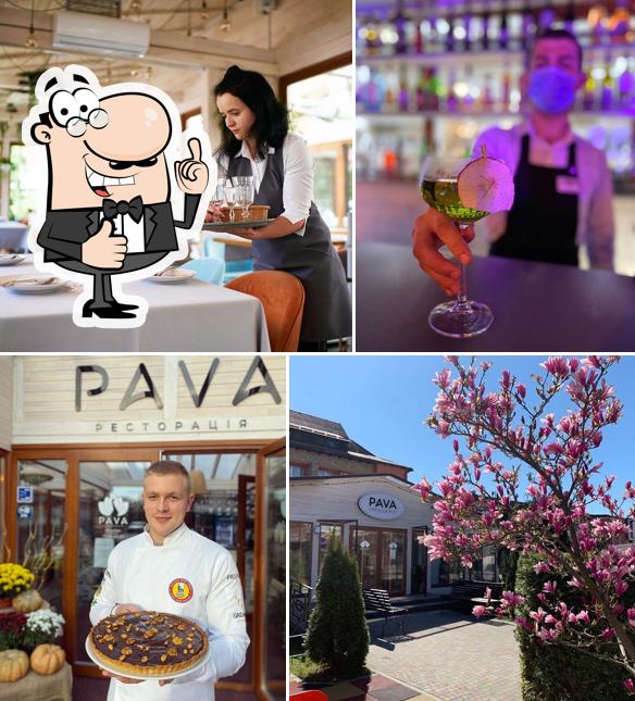 Pava