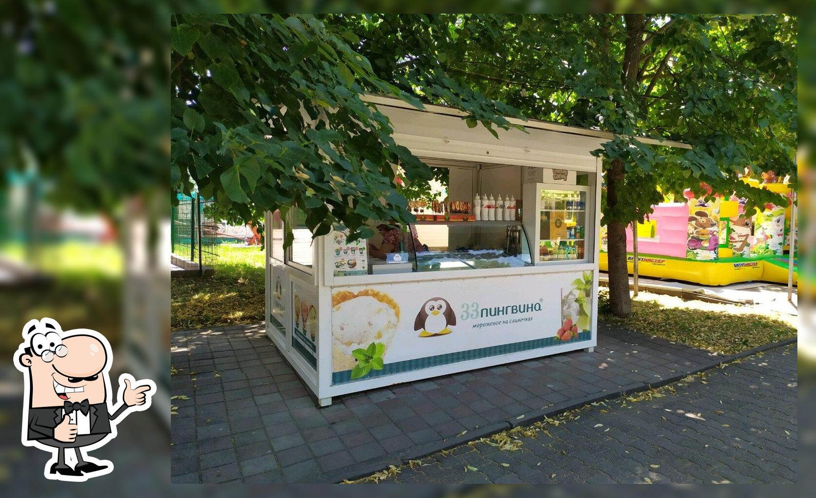 33 Пингвина