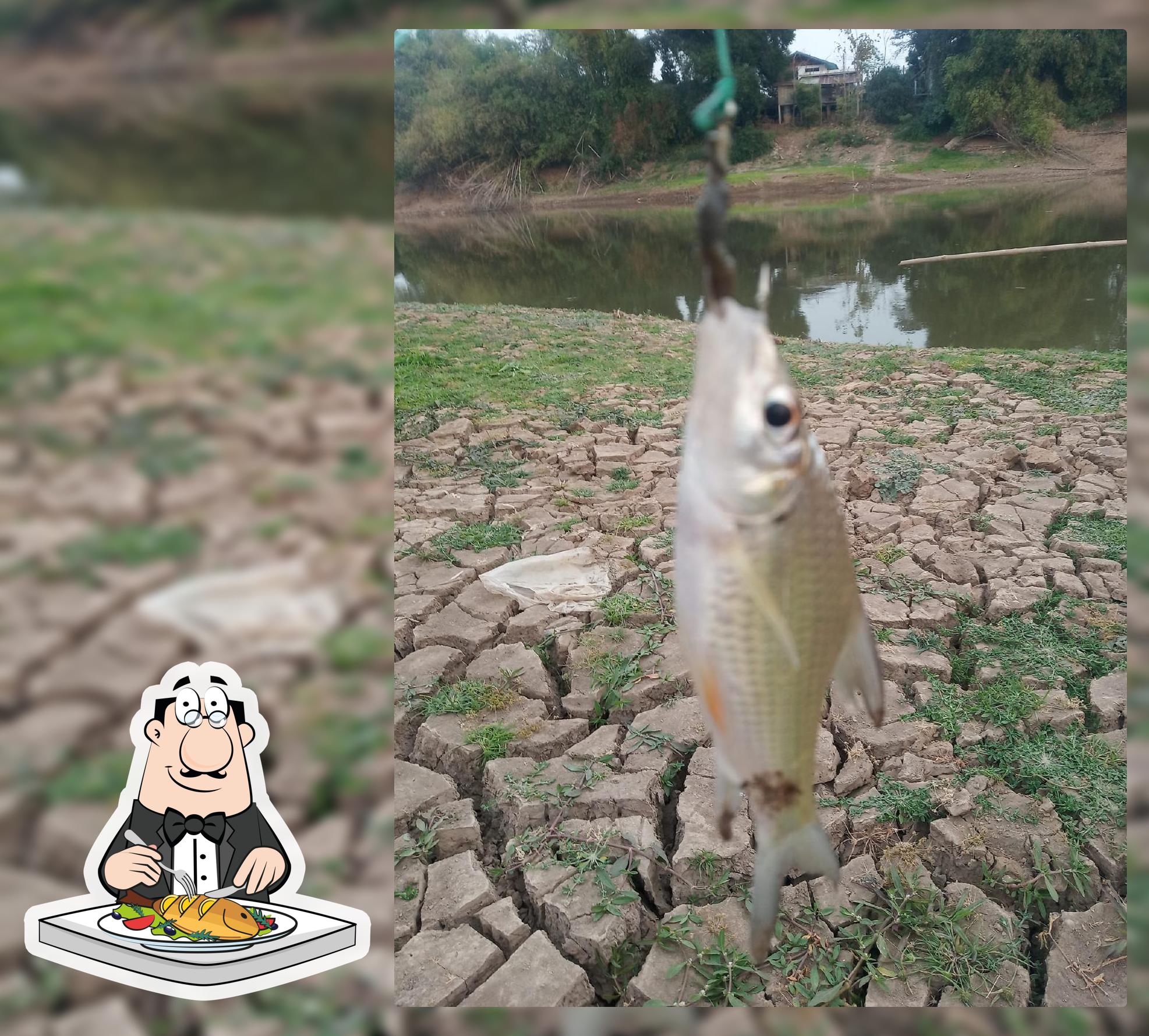 พิซซ่าเวียดนาม ป้าวรรณ เหนือวัดตลิ่งชัน 200เมตร