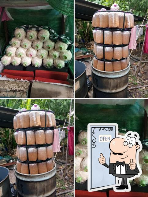 บ้านเห็ดสมชาย Saraburi