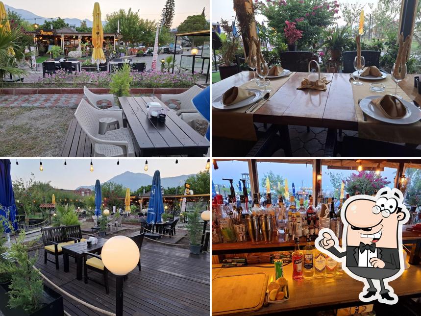 Viking Palma Rosa Cafe Beach