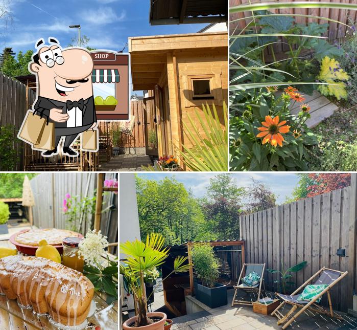 Little Backyard