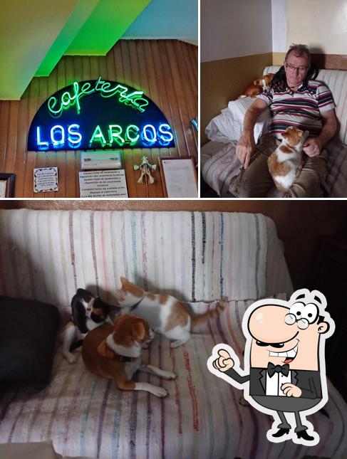 Cafetería Los Arcos