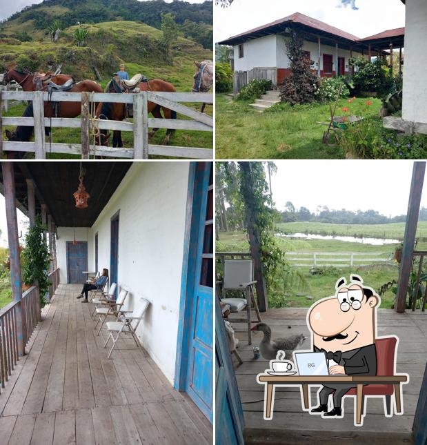 Peñones Glamping