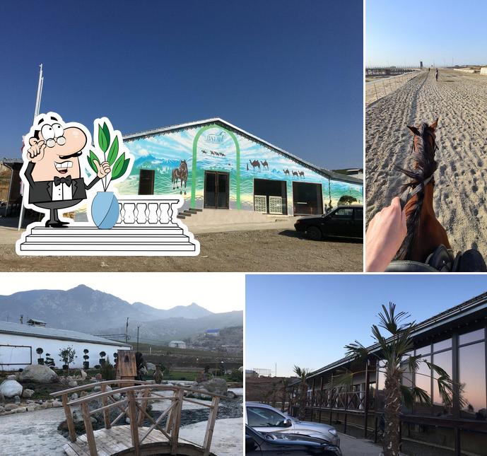 Внешнее оформление "Ватан"