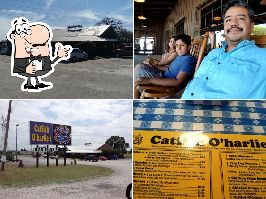 Catfish O'Harlies