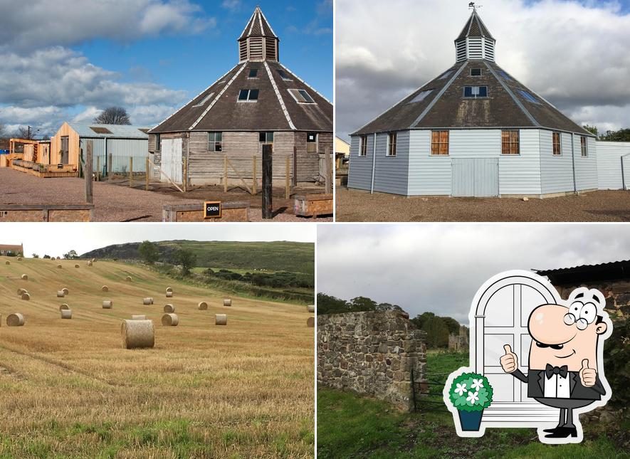 Mart Farm Shop & Cafe (aka Knowes Farm Shop)