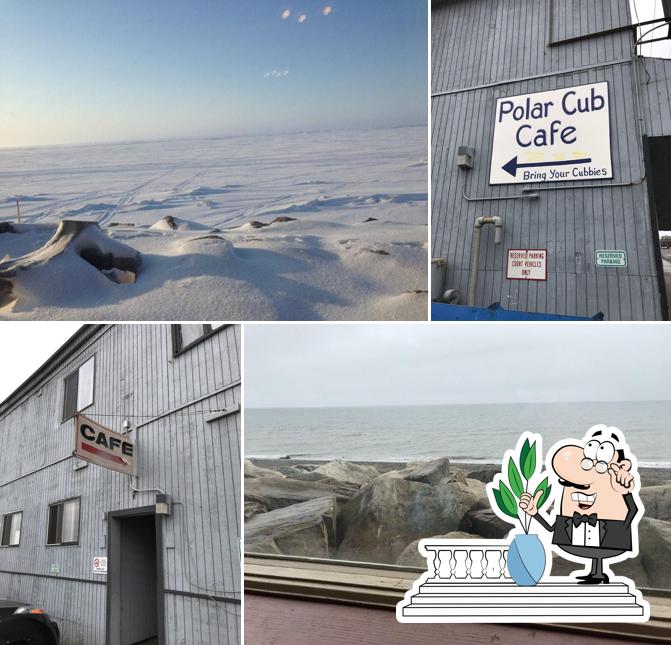 Polar Cafe
