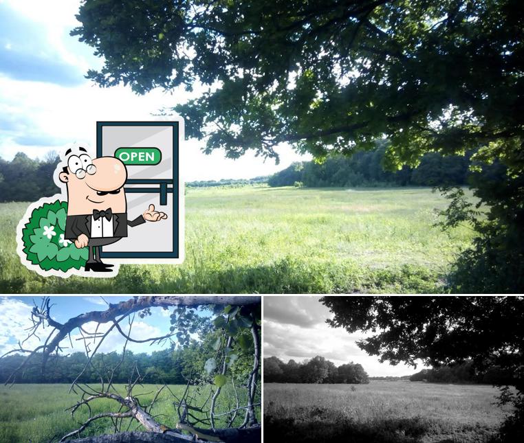 Наслаждайтесь пейзажем, который открывается из "Околицы"