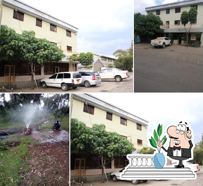Hotel Marvin