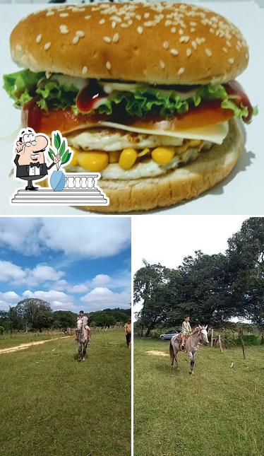 PPA LANCHES
