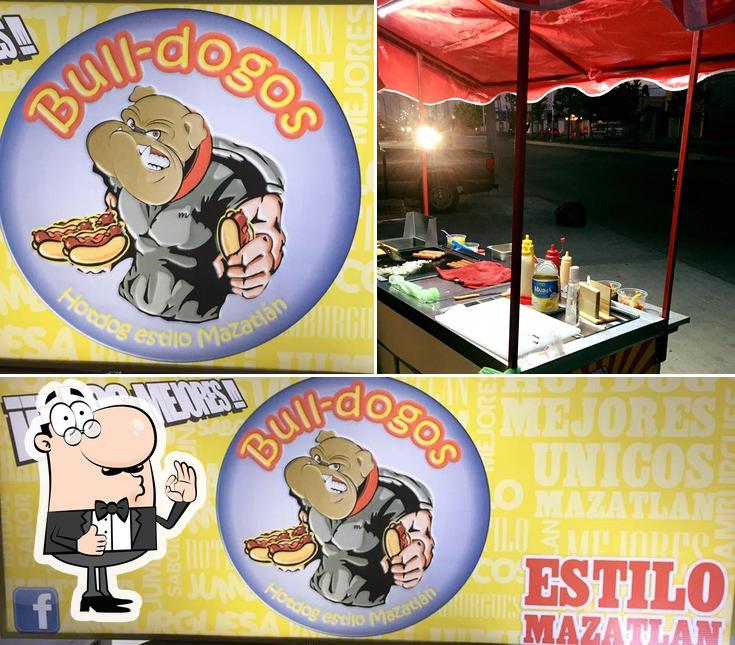 Bull-Dogos