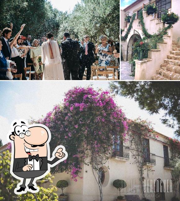 Finca Fidegüet Alicante