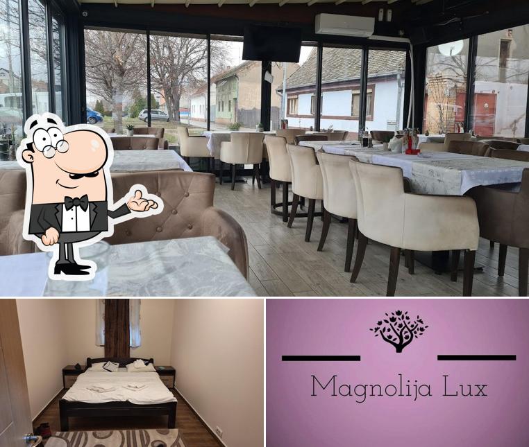 Magnolija Lux