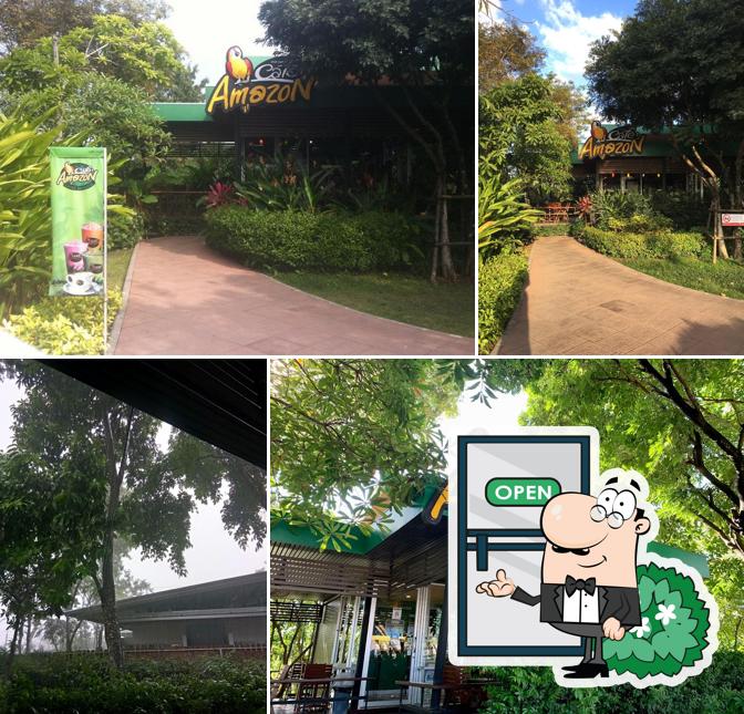 Café Amazon