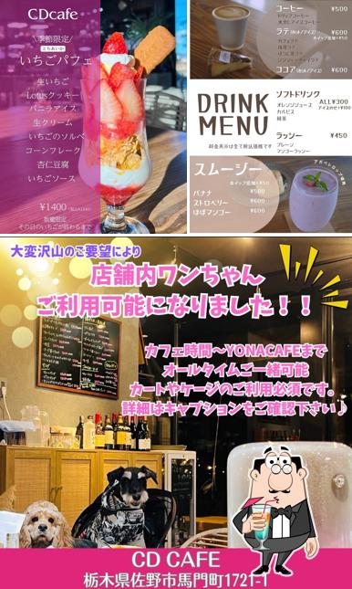 CD cafe