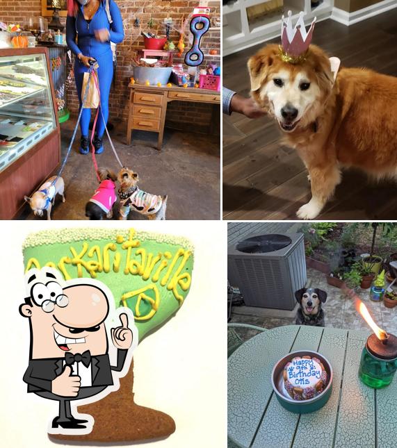 Taj Ma-Hound Bakery for Dogs