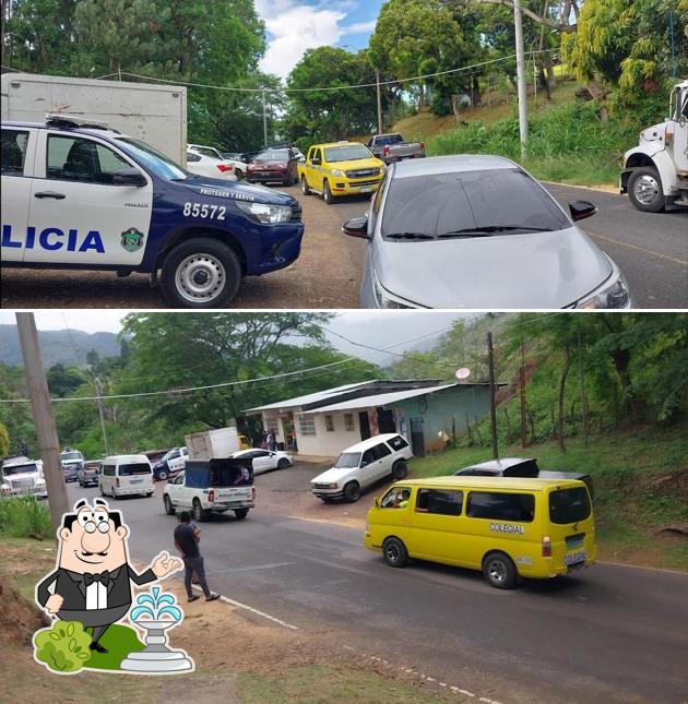 Las tibias