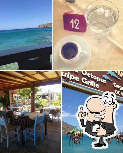 Δελφίνι