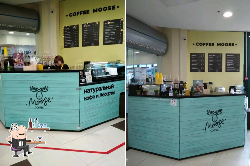 Coffee Moose