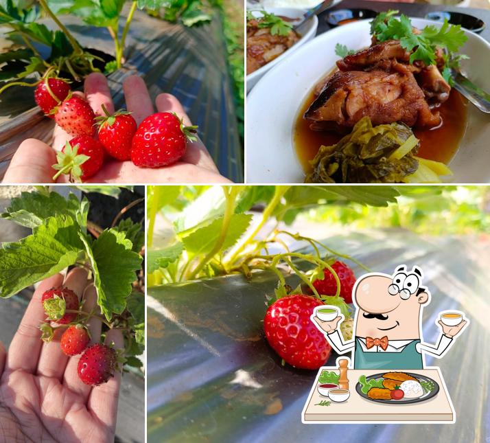 Berry Much Garden
