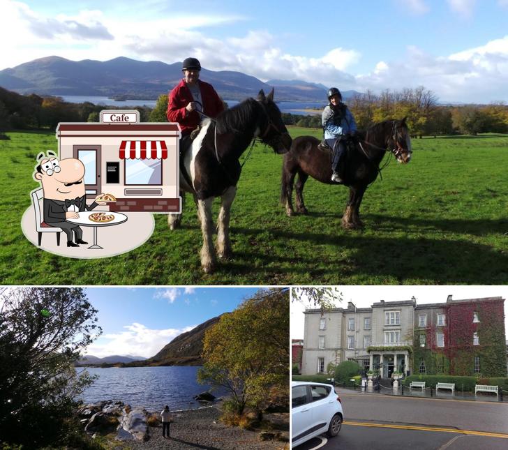 Killarney Royal Townhouse