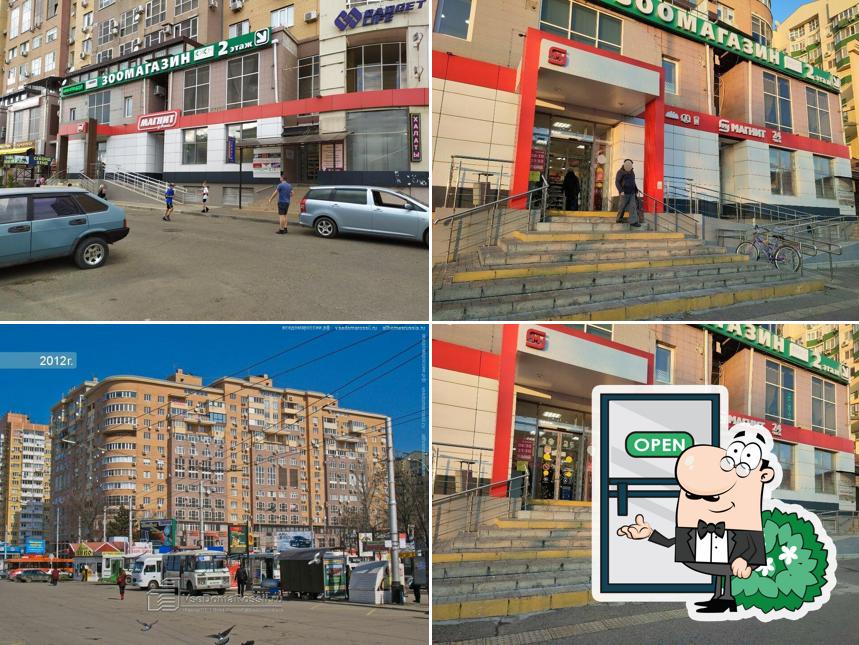 Магнит