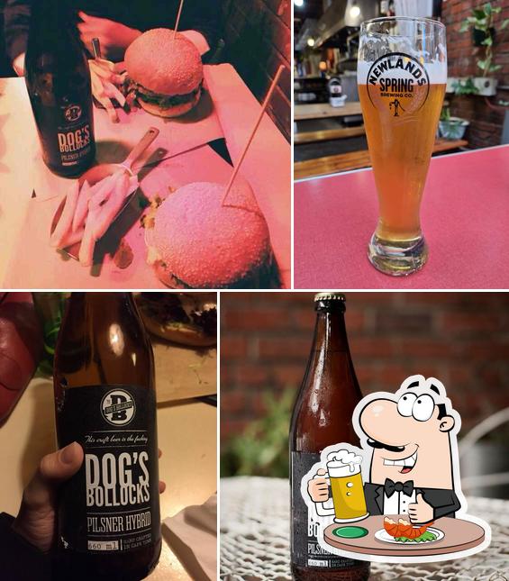 The Dog's Bollocks at YARD
