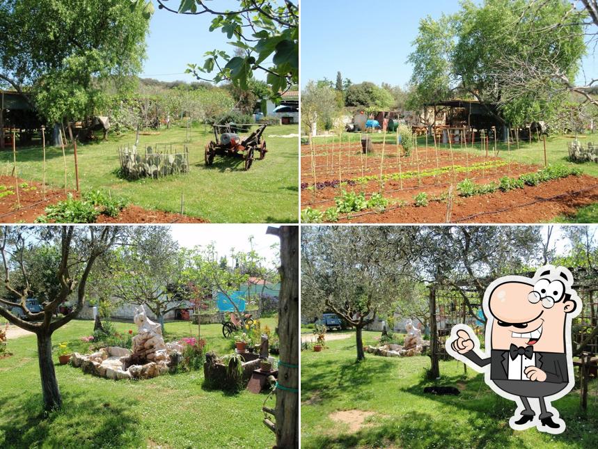 Agriturismo Arka