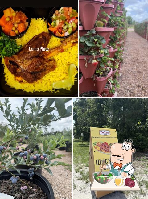 Zeezenia Farm & Sofra