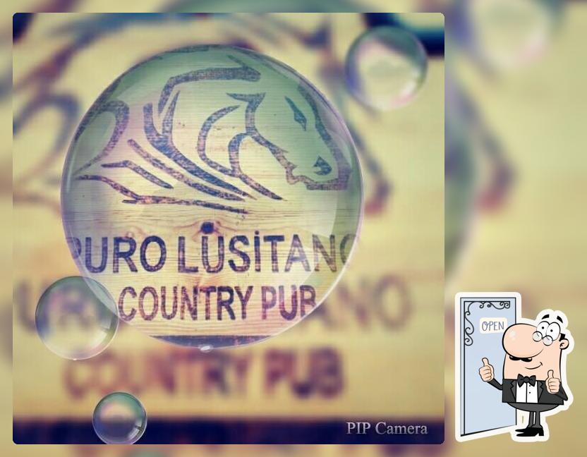 Puro Lusitano