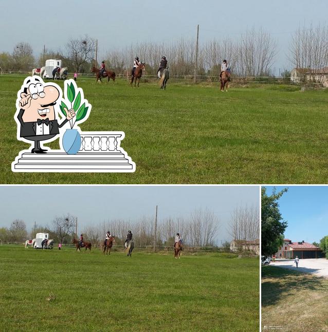 Bellaria Castellani Mirco