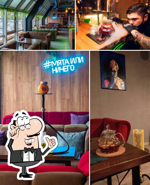 Мята Lounge