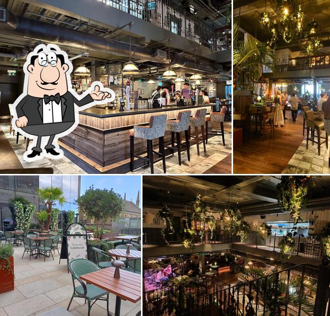 The Botanist Edinburgh