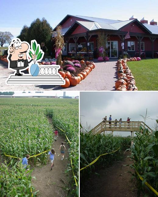 Dairyview Country Store