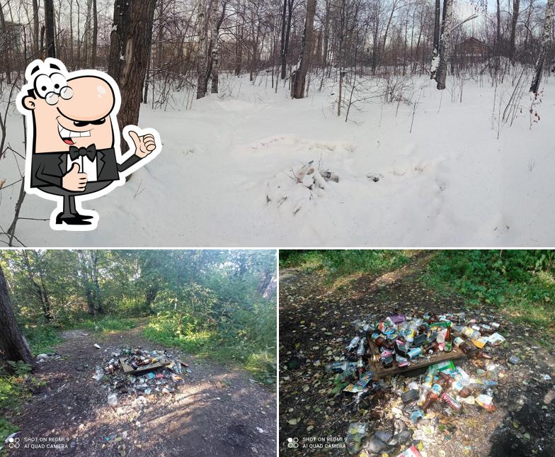 Лесок по литроболу