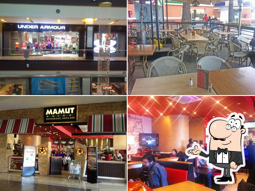 Mamut Mall Arauco Maipú