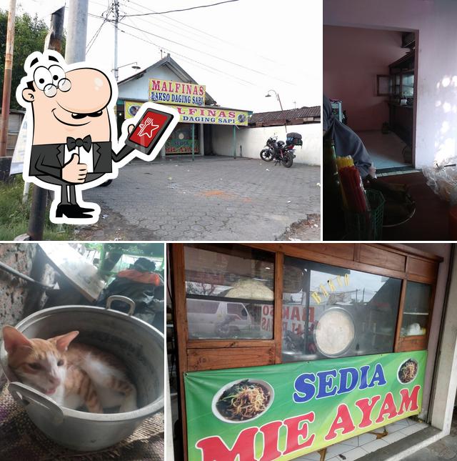 Bakso Daging Sapi Malfinas