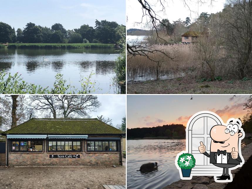 Tern Café, Frensham Little Pond